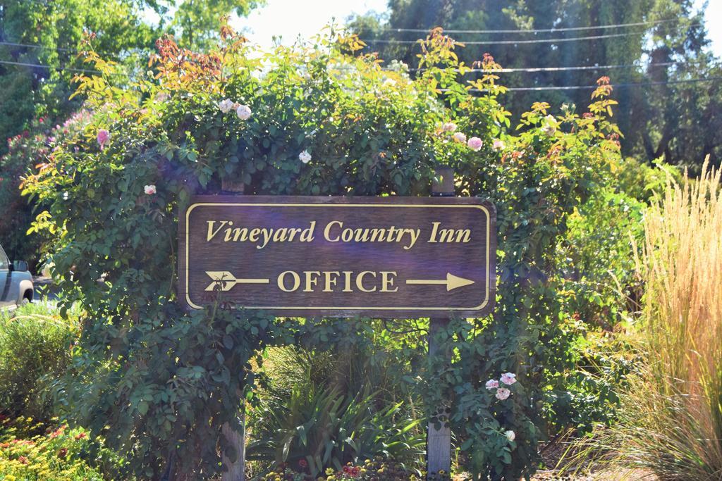 Vineyard Country 2*