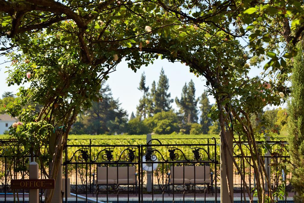 Vineyard Country Locanda St. Helena