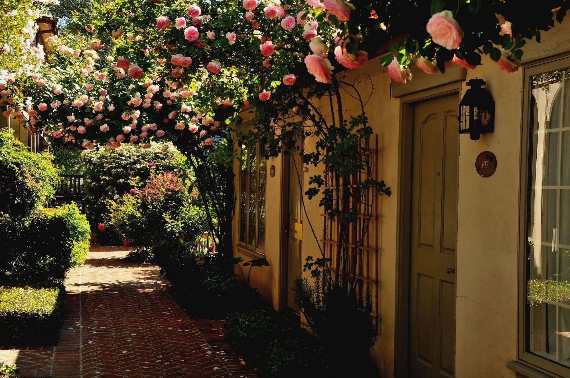 Vineyard Country